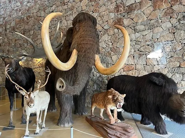 Maison A La Campagne * Quinson